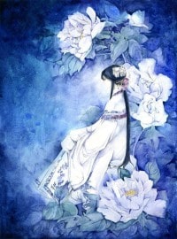 浮華背後